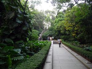Escaliers Parc Yuexiu Escaliers Parc Yuexiu