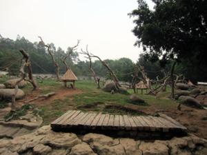 Singes Safari Park Guangzhou Singes Safari Park Guangzhou