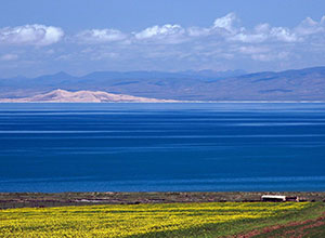 Qinghai