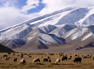 Xinjiang