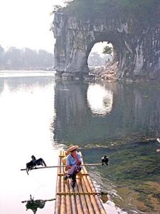 Pêcheur et ses cormorans sur la rivière Li