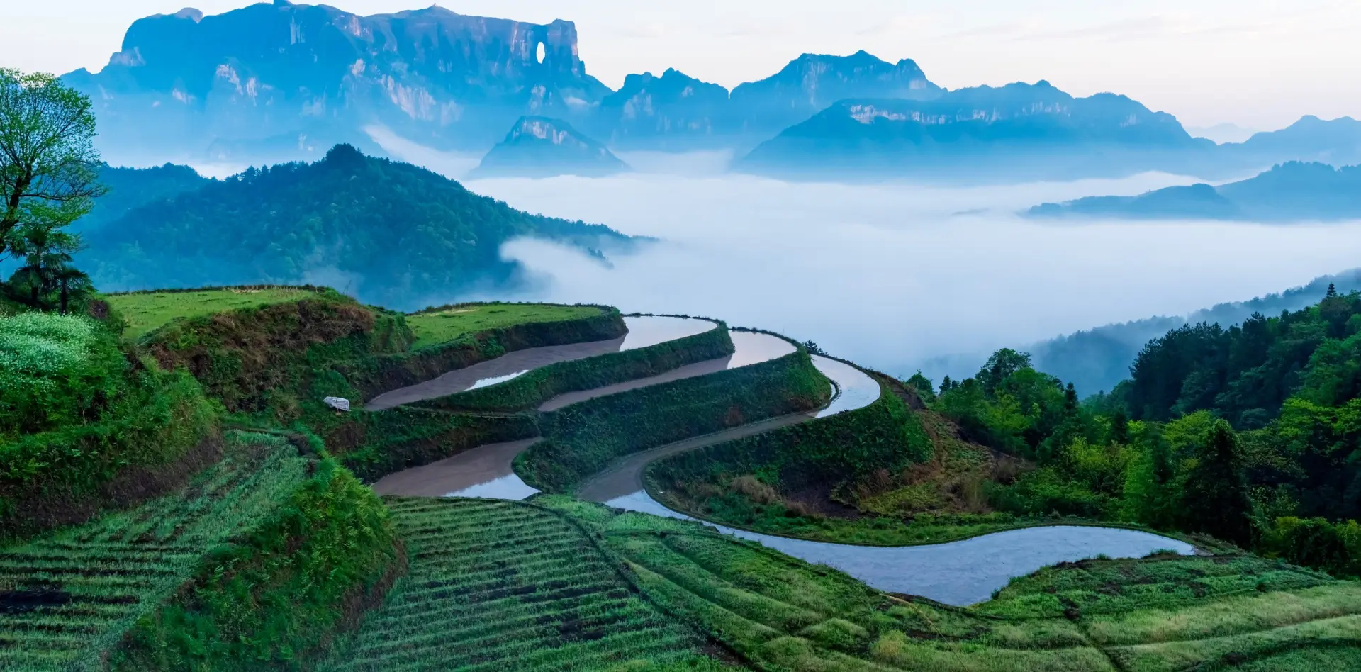Nature et Paysages
