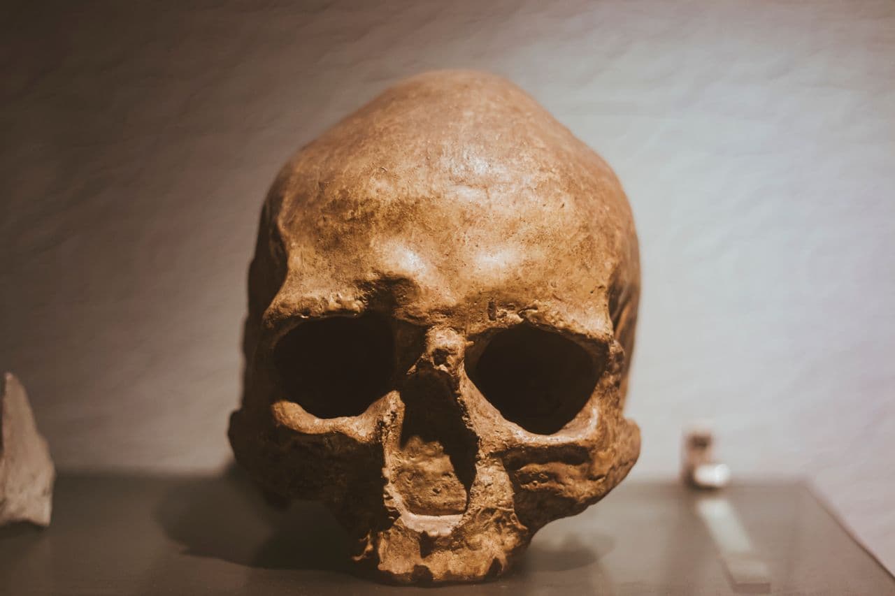 Site de Zhoukoudian (Homme de Pékin)