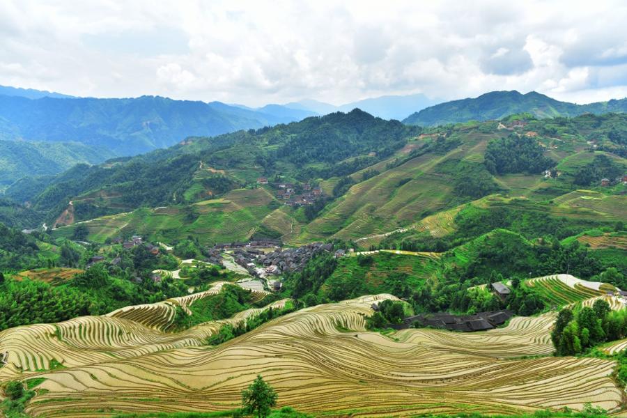 Les 3 plus belles rizières de Chine