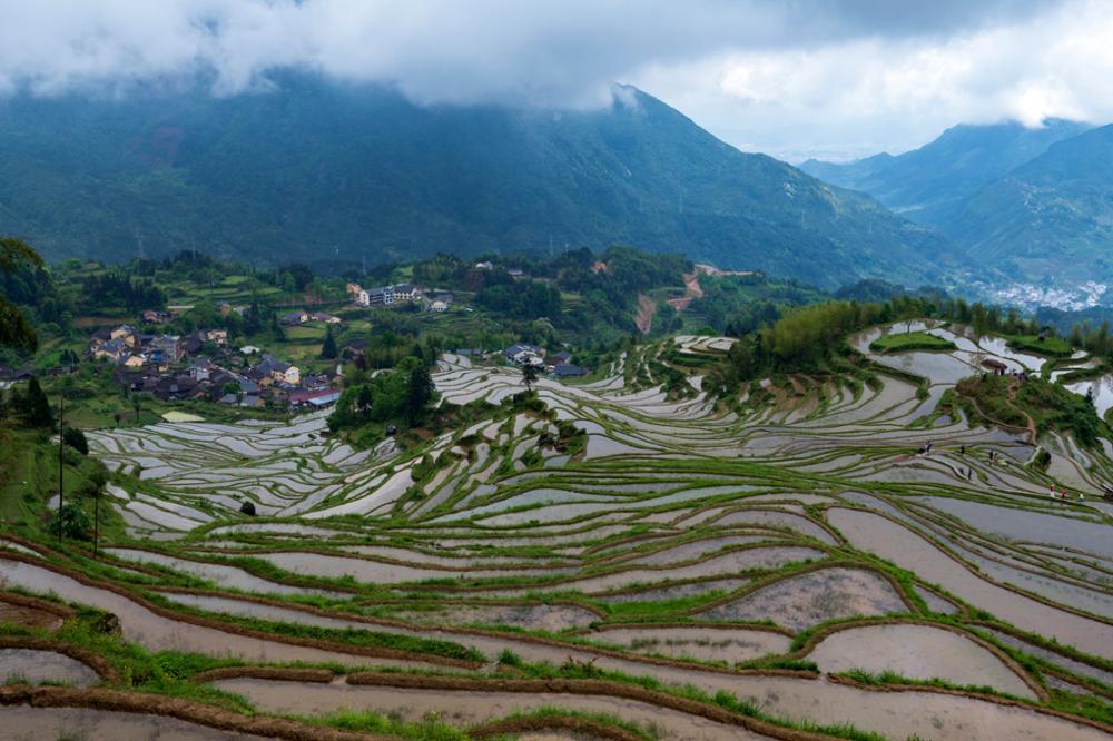 Les 3 plus belles rizières de Chine