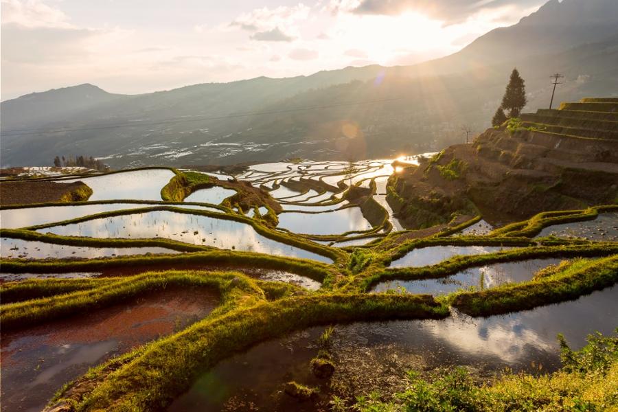 Les 3 plus belles rizières de Chine