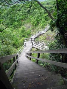 Escaliers Ile de Lantau