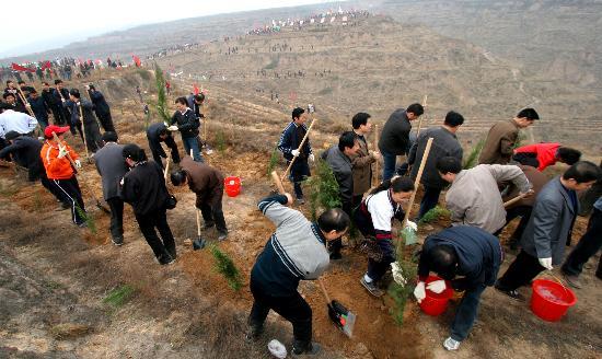 Reforestation en Chine