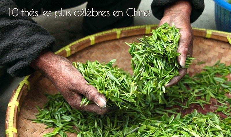 Les 10 thés les plus célèbres de Chine