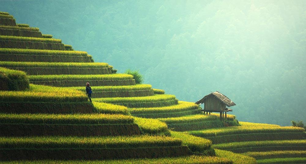 En Chine